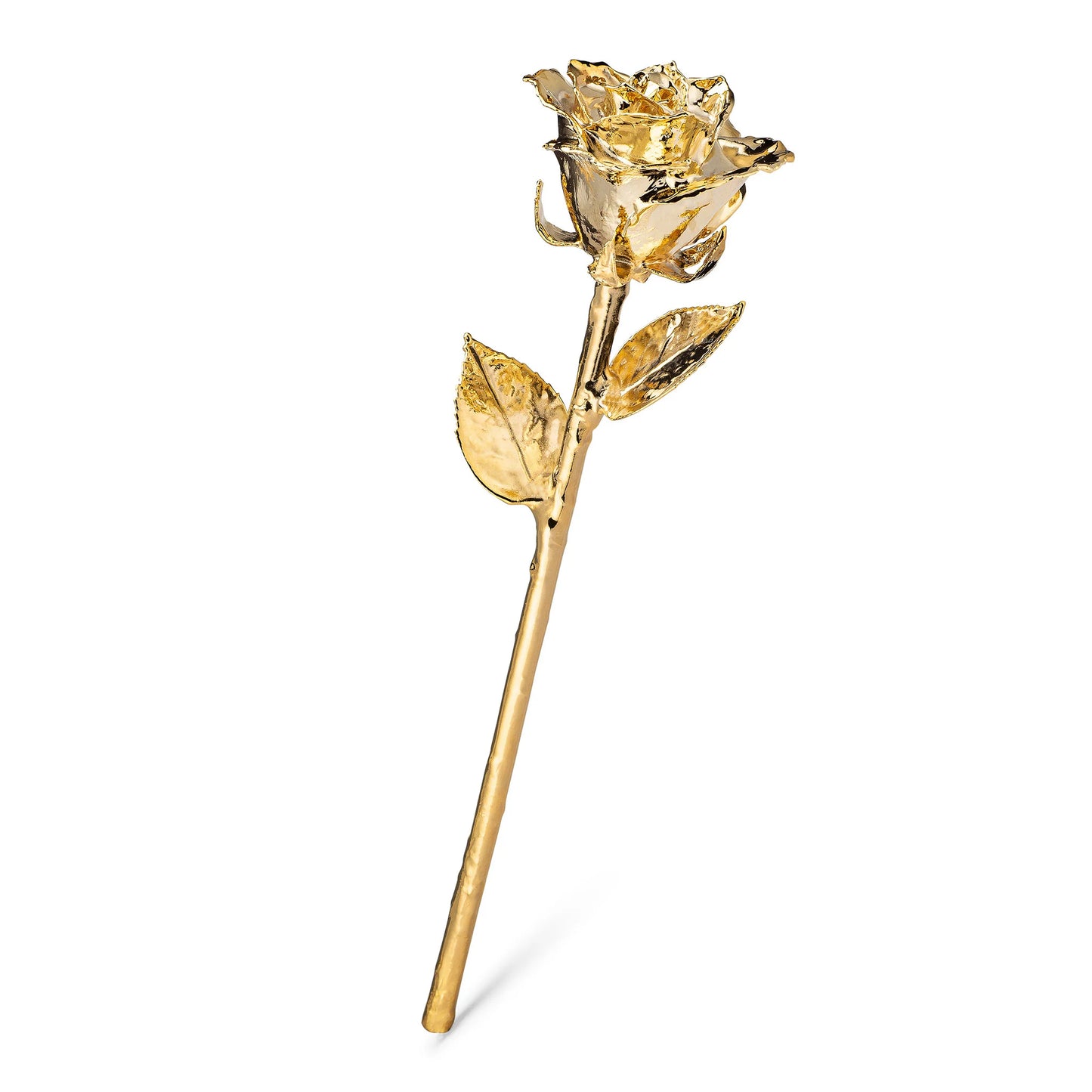 I Love You Heart Combo (24K Gold Dipped) Real Rose