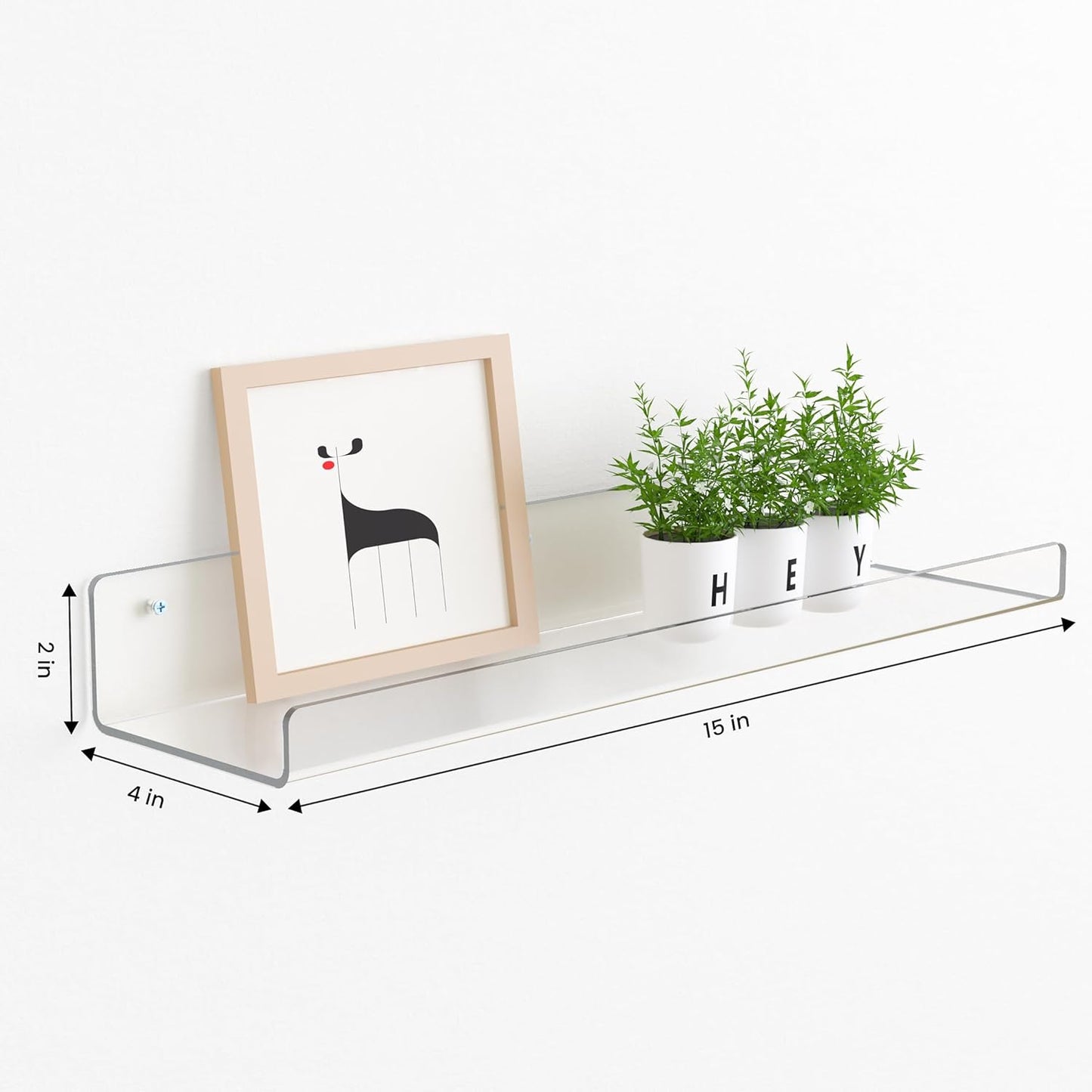 Acrylic Floating Shelves