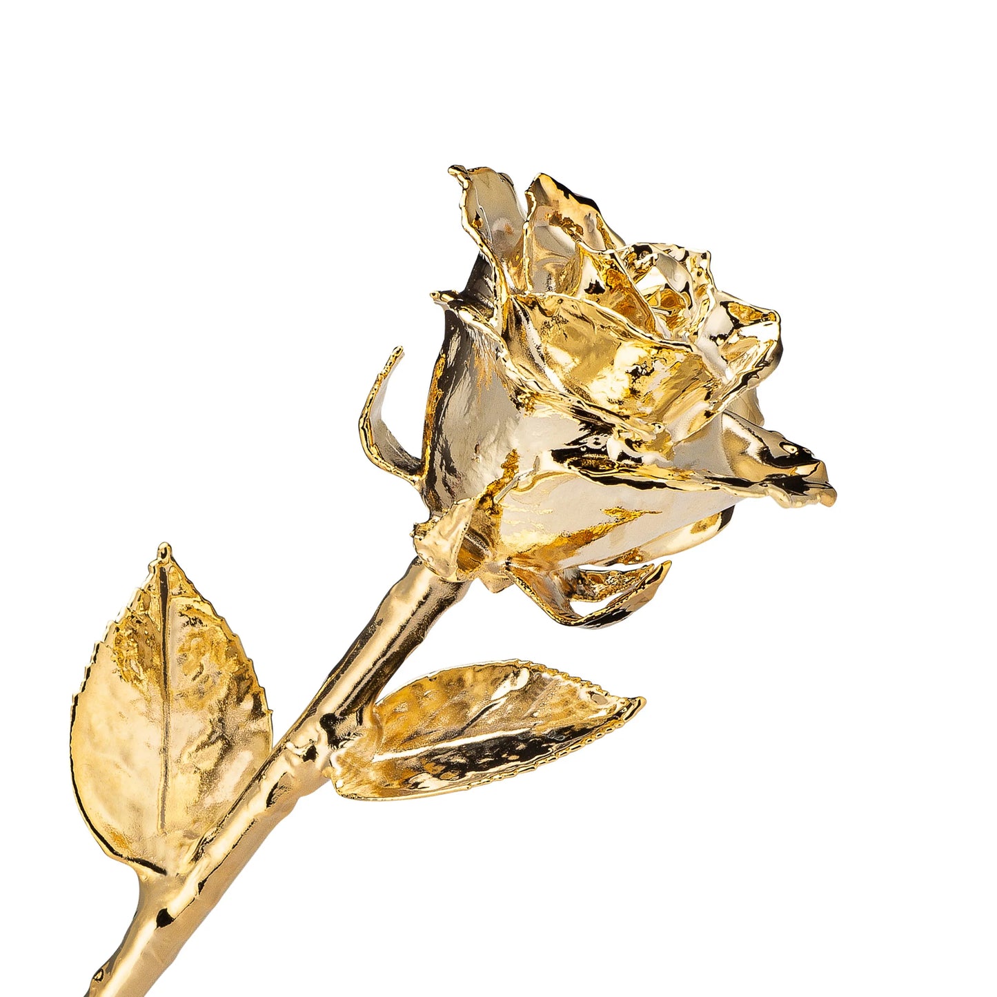 24K Gold Dipped Real Rose For Your Closed Ones | Valentine's Gifting