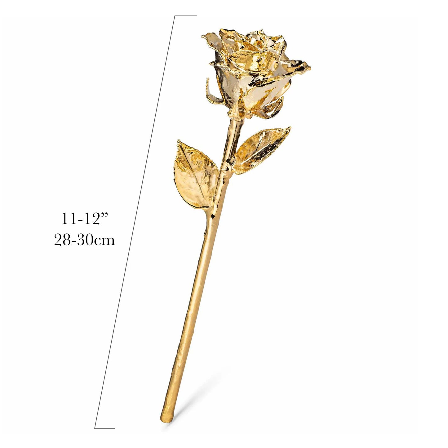 24K Gold Dipped Real Rose For Your Closed Ones | Valentine's Gifting
