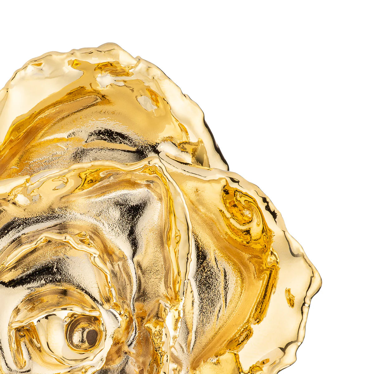 24K Gold Dipped Real Rose For Your Closed Ones | Valentine's Gifting