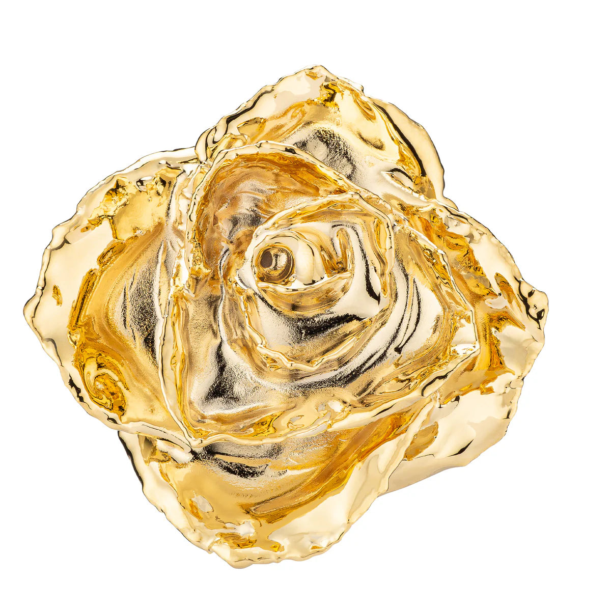 24K Gold Dipped Real Rose For Your Closed Ones | Valentine's Gifting