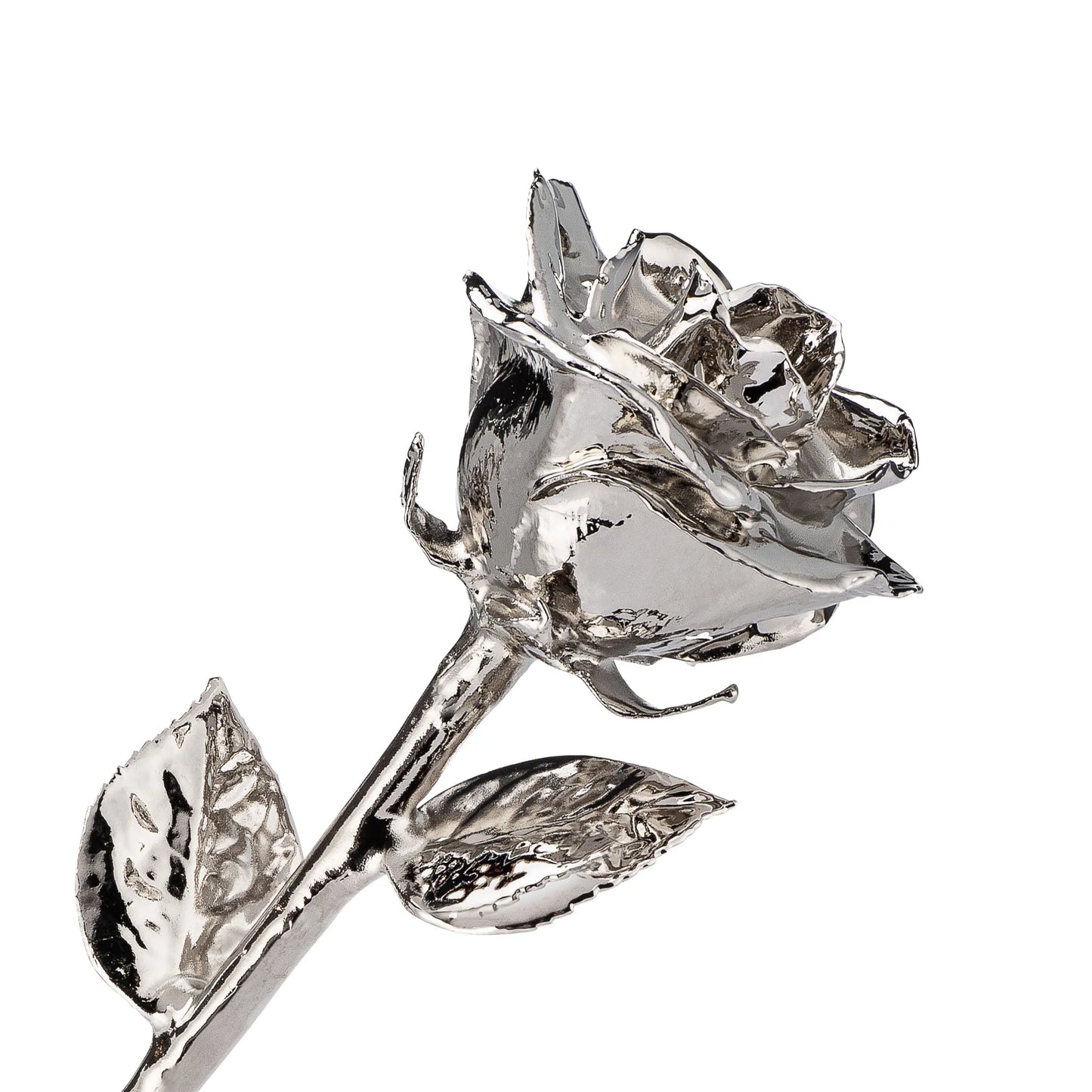 Real Silver Dipped Real Rose For Your Closed Ones | Valentine's Gifting