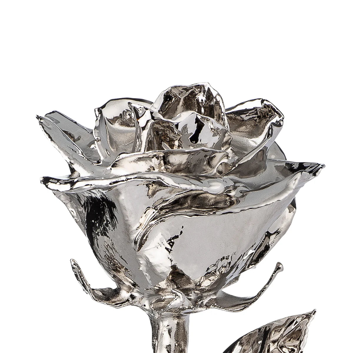 Real Silver Dipped Real Rose For Your Closed Ones | Valentine's Gifting
