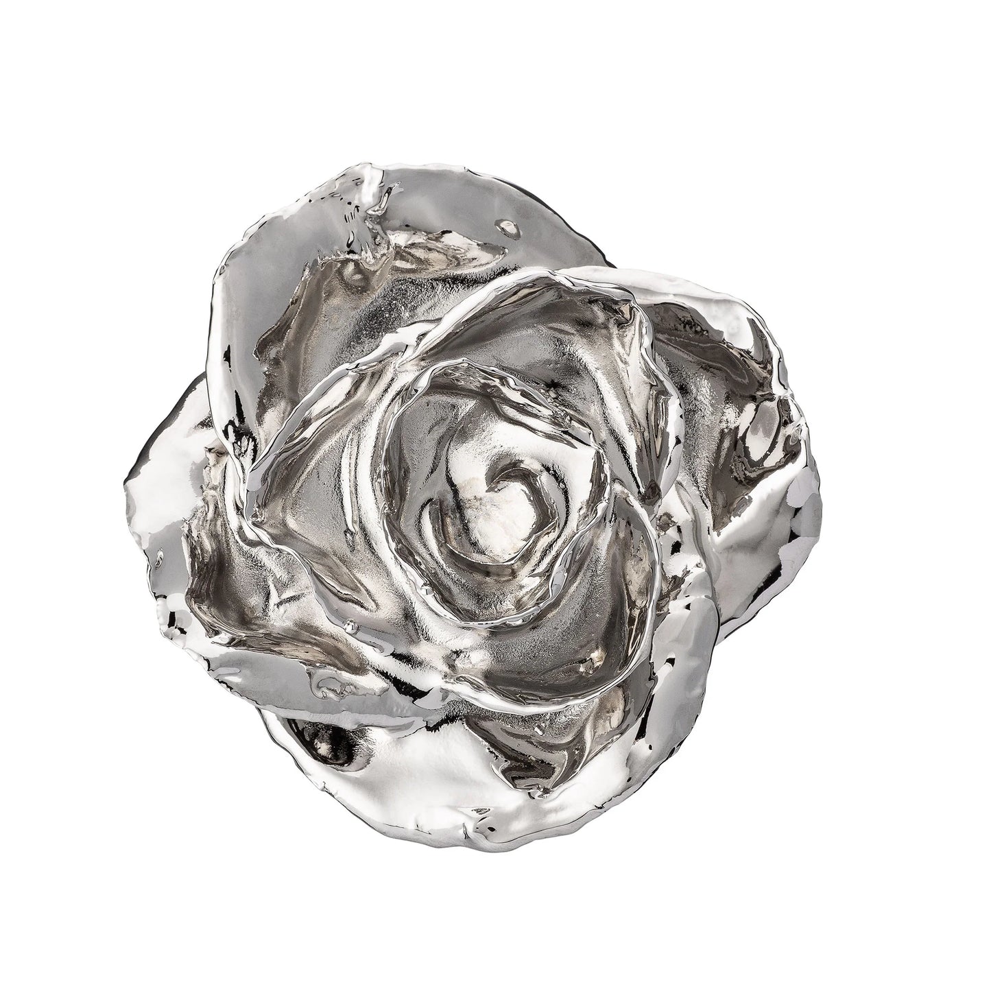 Real Silver Dipped Real Rose For Your Closed Ones | Valentine's Gifting